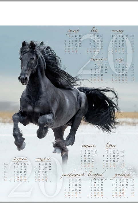 (20) Kalendarz plakatowy B1<br>- <b>Koń</b> -&nbsp10 szt